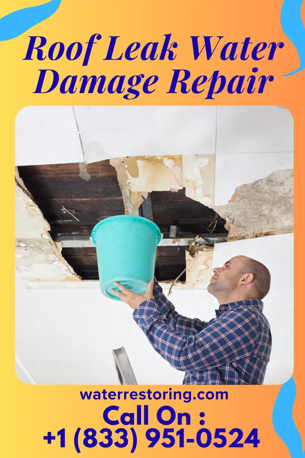 Roof Leak Water Damage Repair in Lakes of the Four Seasons, IN