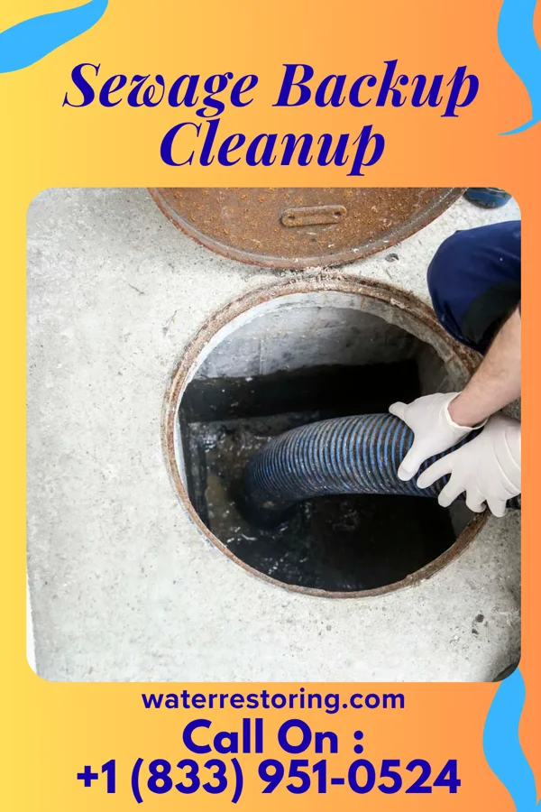 Sewage Backup Cleanup in Lakes of the Four Seasons, IN