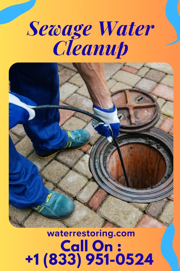 Sewage Water Cleanup in Lakes of the Four Seasons, IN